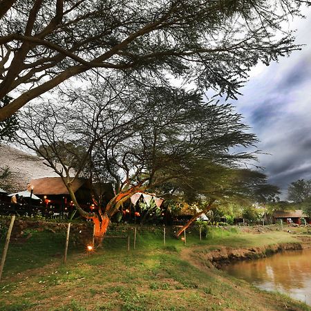 Mara River Lodge Aitong Ngoại thất bức ảnh