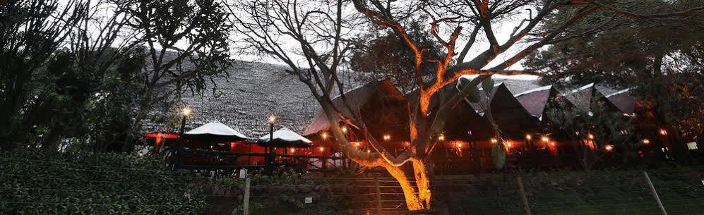 Mara River Lodge Aitong Ngoại thất bức ảnh